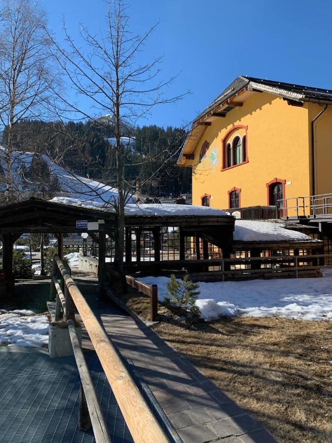 Des Alpes C Flat 11 *